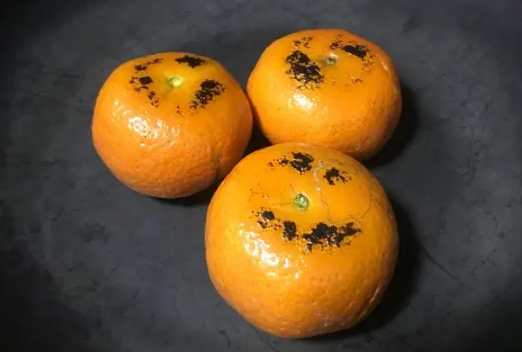 烤橘子可以空腹吃吗