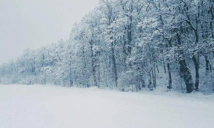 2023年2月份下雪的地方有哪些