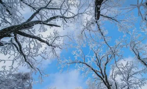 2023年2月份下雪的地方有哪些
