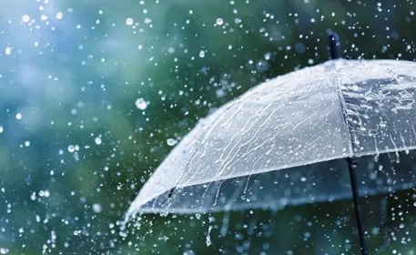 2023年一年的雨水怎么样