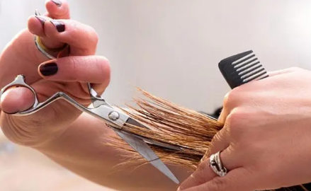 2月份是不是不能理发