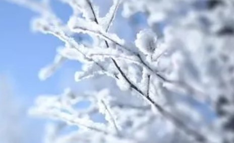 2022年小雪节气艾灸有什么好处