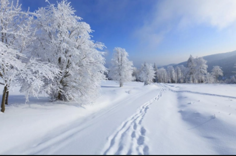 2022年12月份北京会下雪吗