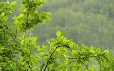 深圳12月会下雨吗