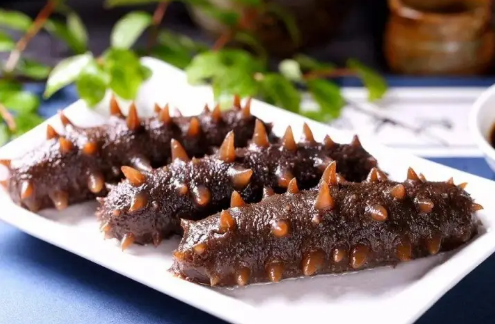 海参为什么越煮越硬