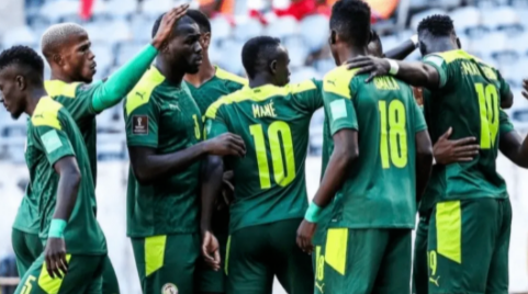 2022世界杯卡塔尔vs塞内加尔谁赢