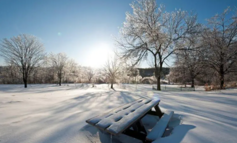 2022年沈阳12月会下雪吗