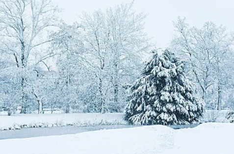 2022年沈阳12月会下雪吗