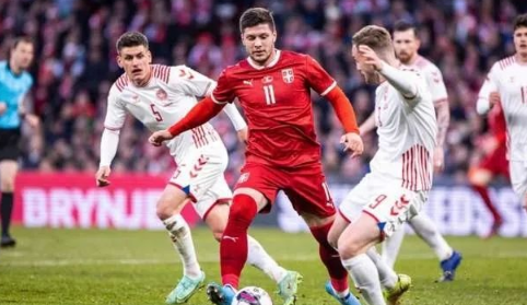 喀麦隆vs塞尔维亚比分预测