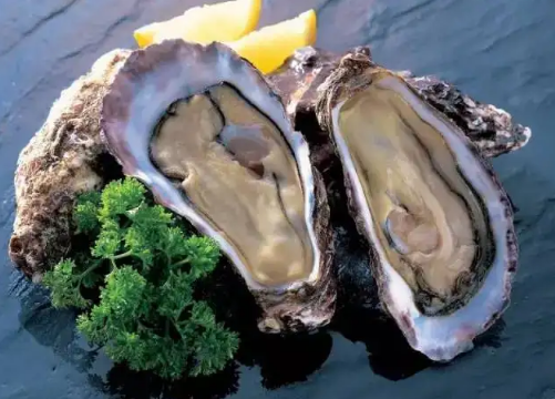 生蚝和橙子可以一起吃吗