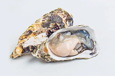 生蚝和橙子可以一起吃吗