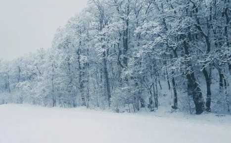 2023北海道冬天一直有雪吗
