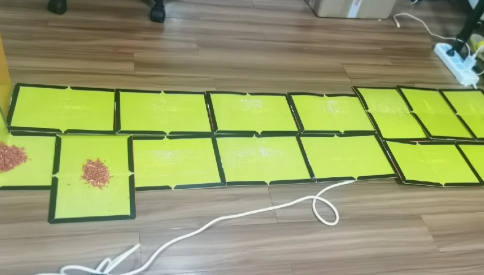 老鼠从粘鼠板上跑了还会再上当吗