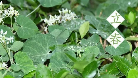 2023年立春后还冷吗