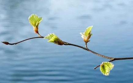 2023年立春后还冷吗