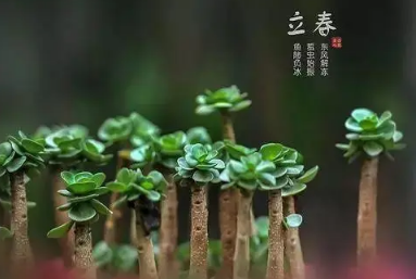 2023年立春后还有零下吗