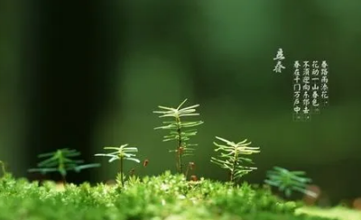 2023年立春后还有零下吗