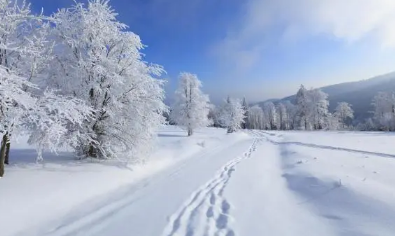 ​2023年正月初一是几九