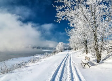 2023年正月初一是几九