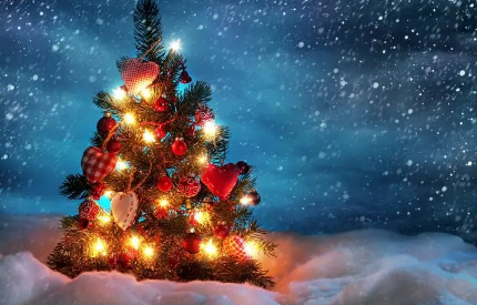 家里放圣诞树影响风水吗