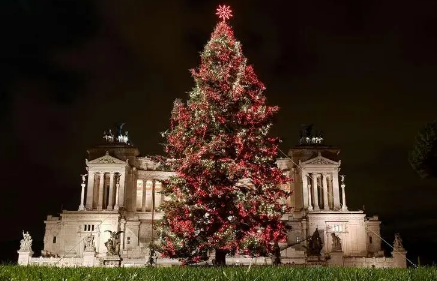 家里放圣诞树影响风水吗