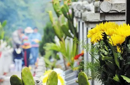 包头2023春节期间公墓能祭奠吗