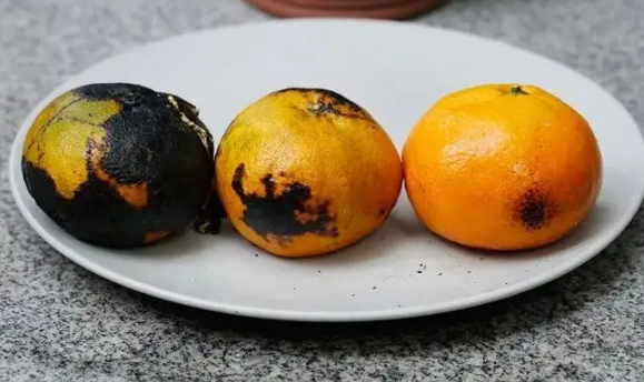 空气炸锅烤橘子温度和时间