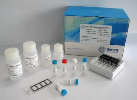 自己做抗原上传健康码会显示吗