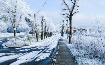 2023数九三九冷还是四九冷