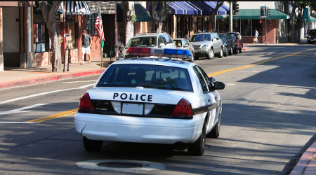 车管所元旦可以上牌照吗