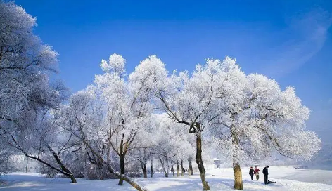 2022冬至冷还是大寒冷