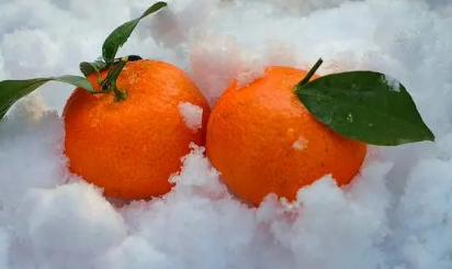 2023大寒前上坟还是大寒后上坟