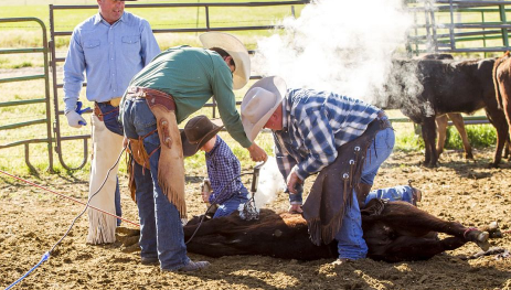 2022年腊八节下葬是否适合