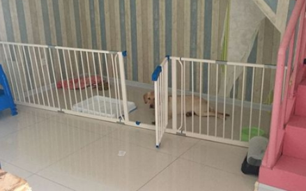 2023兔年3月哪几天适合安门