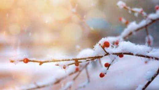 2023到了七九气温就回升了吗