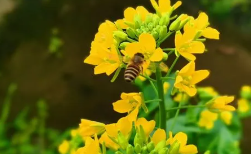 广东2023年是最冷的一年吗