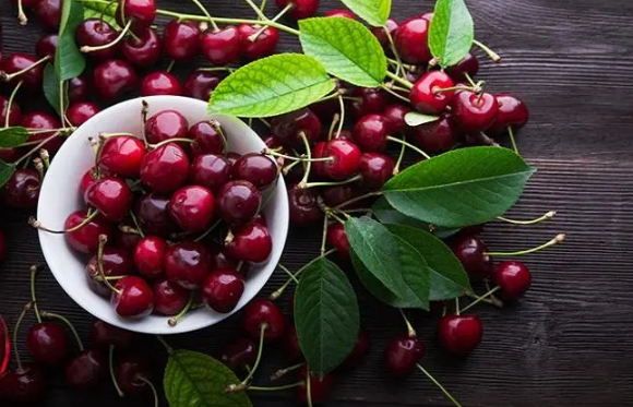 车厘子送人一般送好多合适