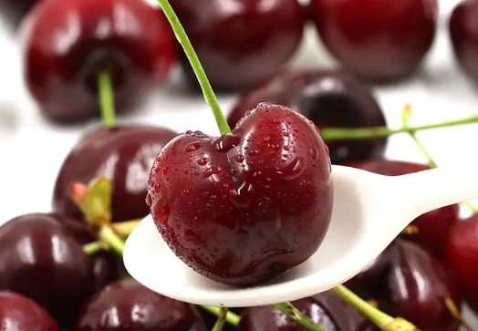 车厘子送人买什么级别