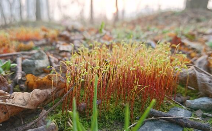 倒春寒年份夏季热吗2023