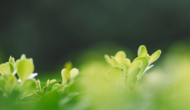 2023躲春时睡觉好吗