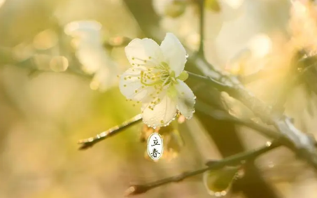 2023躲春时睡觉好吗