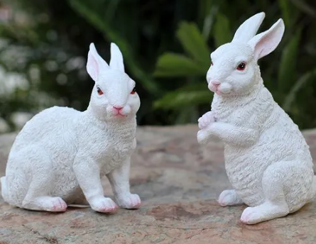 家里放置兔子影响主人运气吗