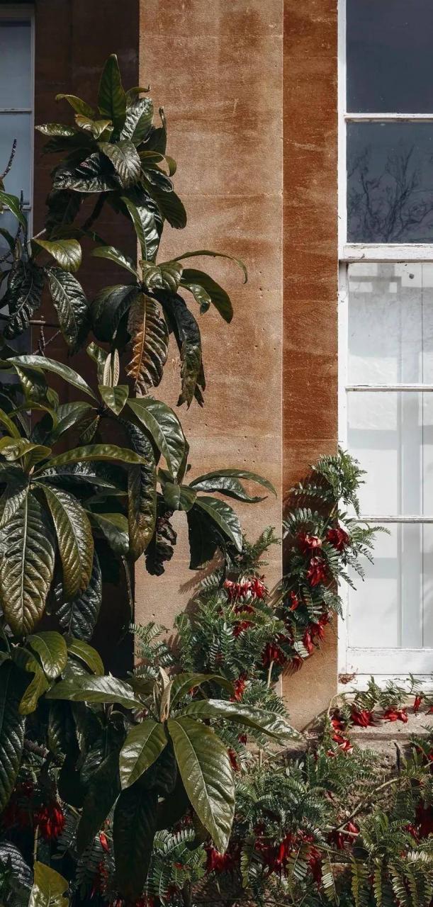 告白的话(最浪漫的表白话语)