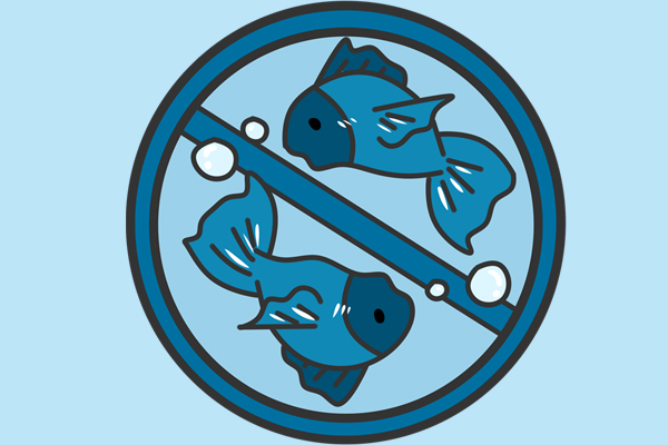 双鱼.jpg 双鱼.jpg