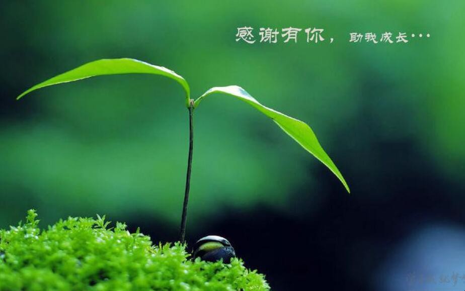 感谢朋友的句子有哪些