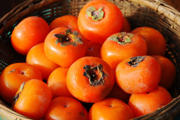 23190002.jpg 6b6edb12de1aa03f3f4900d05b6326b7_6-220409104F0340.jpg