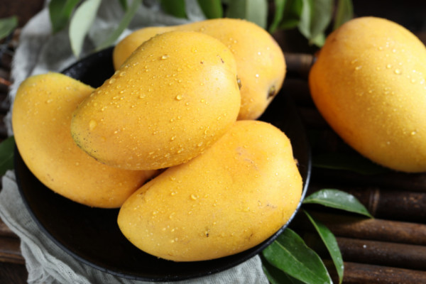 23402279.jpg 91c216d8df6e26e918381124a2923227_6-22040910134JB.jpg