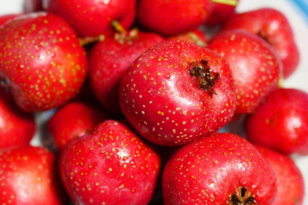 23809553.jpg ec8c2a813ba67e4d5fb7624cf9885b58_5-210P3110A5Y4.jpg