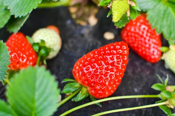 23891742.jpg 2ca5d1d02f589f1444465905c1bcba7a_5-210Q6125101449.jpg