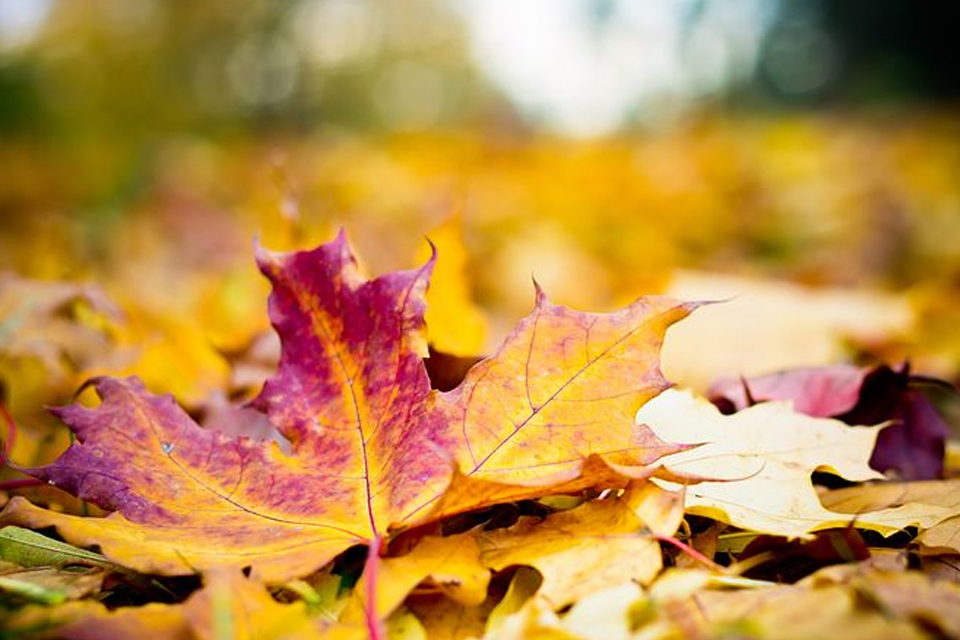 季度和季节的区别